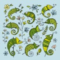 Chameleon collection, sketch for your design