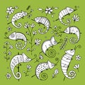 Chameleon collection, sketch for your design