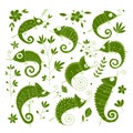 Chameleon collection, sketch for your design