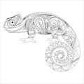 chameleon doodle. stylized zentangle lizard, ornament. coloring book page for adult. Vector illustration. Hand drawn