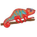 Chameleon Hand Drawn Vector Illustration Royalty Free Stock Photo