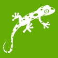 Chameleon icon green