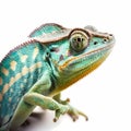 Chameleon Isolated White. Generative AI Royalty Free Stock Photo