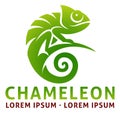 Chameleon Lizard Animal Design Icon Mascot Concept