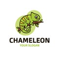 Chameleon logo template design