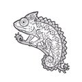 Chameleon mandala. Animal Vector illustration Royalty Free Stock Photo