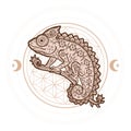 Chameleon mandala. Animal Vector illustration Royalty Free Stock Photo