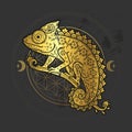 Chameleon mandala. Animal Vector illustration Royalty Free Stock Photo