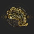 Chameleon mandala. Animal Vector illustration Royalty Free Stock Photo