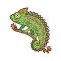 Chameleon mandala. Animal Vector illustration Royalty Free Stock Photo