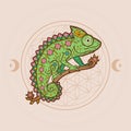 Chameleon mandala. Animal Vector illustration Royalty Free Stock Photo