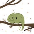 Chameleon relaxing on a tree branch. Green vector lizard and leaves in hand drawn style. Cute animal print Royalty Free Stock Photo