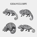 Chameleon set collection. Stickers, posters, background. Can be used for wallpapers, pattern fills, web page backgroundssurface