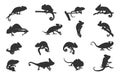 Chameleon silhouettes, Chameleon vector illustration, Chameleon animal icon, Chameleon silhouette