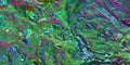 Chameleon stone rock surface texture. Holographic gradient background. Colored light on textured surface