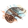 Chameleon Royalty Free Stock Photo