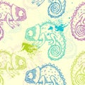 Chameleon. vector seamless pattern Royalty Free Stock Photo