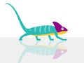 Chameleon walking on the glass in white background, vector illustration