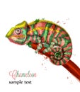 Chameleon watercolor Vector. Colorful painted style illustrations