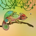 Chameleons on branch