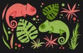 Chameleons are green and pink in color and tropical leaves. Cartoon sticker set for kids with chameleons and tropical leaves