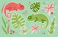 Chameleons are green and pink in color and tropical leaves. Cartoon sticker set for kids with chameleons and tropical leaves