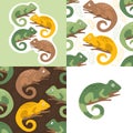 Chameleons seamless patterns and prints