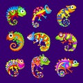 Chameleons. Stylized colored chameleons with colorful skin recent vector lizard pictures set