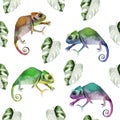 Chameleons among tropical monstera leaves watercolor seamless pattern