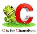 Chamelion wild animal with alphabate Royalty Free Stock Photo