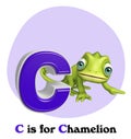 Chamelion wild animal with alphabate Royalty Free Stock Photo