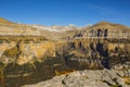 Chamois in autumn in Ordesa and Monte Perdido National Park, Spain