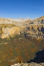 Chamois in autumn in Ordesa and Monte Perdido National Park, Spain