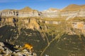 Chamois in autumn in Ordesa and Monte Perdido National Park, Spain