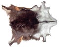 Chamois leather