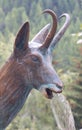 Chamois shaped water fountain in a rural village in Val d`Aosta, Italy