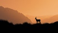 Chamois Silhouetted On Hill With Mountain Backdrop, Featuring Browns And Oranges Royalty Free Stock Photo