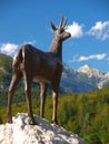 Chamois statue