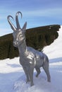 Chamois Statue In Serak, Jeseniky, The Czech Republic Mountains 01