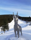 Chamois Statue In Serak, Jeseniky, The Czech Republic Mountains 03