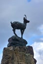 Chamois statue, symbol of town town Karlovy Vary