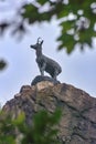 Chamois statue, symbol of town town Karlovy Vary