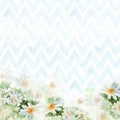 Chamomile bouquet on blue chevron background. Hand-painted watercolor illustration for greeting cards Royalty Free Stock Photo