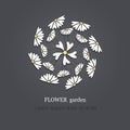 Chamomile bouquet, field. Vector flower herbal organic badge. FLOWER garden. Logo, emblem, icon.