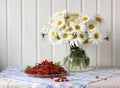 Chamomile. Bouquet of garden daisies and red currants on a plate