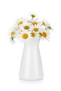 Chamomile bouquet in vase Royalty Free Stock Photo