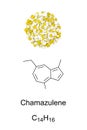 Chamomile flowers, and chamazulene, chemical formula and molecular structure Royalty Free Stock Photo