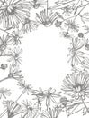 Chamomile. Collection of hand drawn flowers and plants. Botany. Set. Vintage flowers. Black and white illustration in Royalty Free Stock Photo