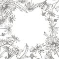 Chamomile. Collection of hand drawn flowers and plants. Botany. Set. Vintage flowers. Black and white illustration in Royalty Free Stock Photo