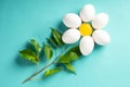 Chamomile Daisy from egg and yolk leave Easter spring concept Royalty Free Stock Photo